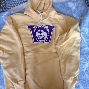 University of Washington Champion Hoodie